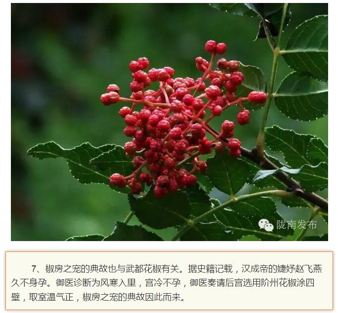 蘭渝鐵路最早由孫中山先生提出？在隴南，你不知道的事兒還有……