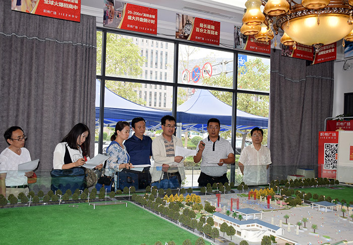 省、市聯(lián)合工作組蒞臨階州廣場檢查指導(dǎo)工作