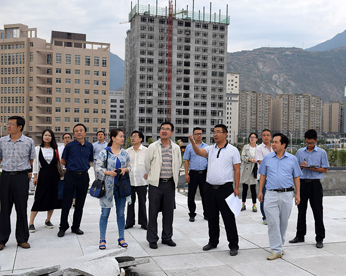 省、市聯(lián)合工作組蒞臨階州廣場檢查指導(dǎo)工作