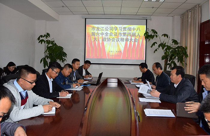 市龍江公司召開全體員工大會，專題傳達學習上級會議精神