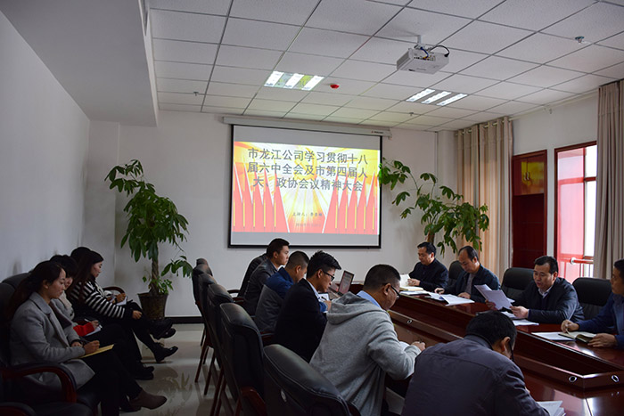 市龍江公司召開全體員工大會，專題傳達學習上級會議精神