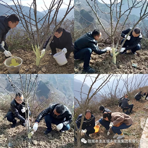 市龍江集團(tuán)在文縣橋頭鎮(zhèn)安子坡村開(kāi)展“解難題、辦實(shí)事、送溫暖”活動(dòng)