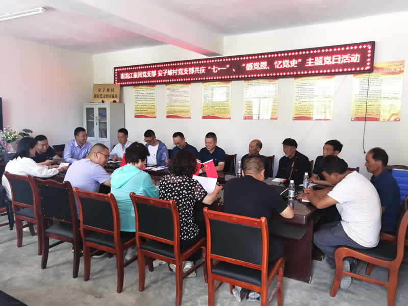“感黨恩、憶黨史”，--市龍江城鄉(xiāng)發(fā)展集團(tuán)公司開展慶祝建黨99周年主題黨日活動