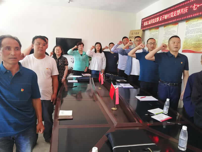 “感黨恩、憶黨史”，--市龍江城鄉(xiāng)發(fā)展集團(tuán)公司開展慶祝建黨99周年主題黨日活動