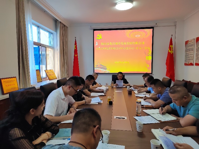 【“三抓三促”行動進(jìn)行時(shí)】 市龍江城鄉(xiāng)集團(tuán)有限公司召開黨委理論學(xué)習(xí)暨三抓三促學(xué)習(xí)會議